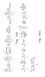 CONJUGATED POLYMER COMPOUND