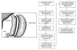 Natural orifice bariatric procedure and apparatus for use therewith