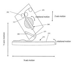 SHAPE FORMING PROCESS AND APPLICATION THEREOF FOR CREATING STRUCTURAL ELEMENTS AND DESIGNED OBJECTS