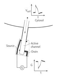 NANOSCALE SENSORS FOR INTRACELLULAR AND OTHER APPLICATIONS