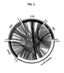 SEPARATONE-BASED PROTEIN EXPRESSION AND PURIFICATION PLATFORM