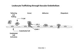 COMPOSITIONS AND METHODS FOR TREATMENT