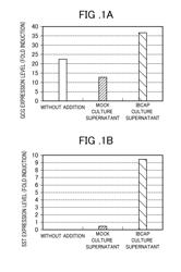 METHOD FOR PRODUCING PANCREATIC HORMONE-PRODUCING CELL, PANCREATIC HORMONE-PRODUCING CELL, AND DIFFERENTIATION/INDUCTION PROMOTER