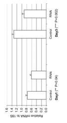 RNAi-mediated inhibition of frizzled related protein-1 for treatment of glaucoma