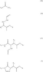 Process for the preparation of chiral triazolones