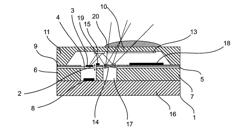 RADIATION IMAGING SENSOR