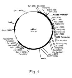 Methods for transforming and expression screening of filamentous fungal cells with a DNA library