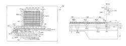 Solid-state image sensing device containing electron multiplication function having N-type floating diffusion (FD) region formed within a P-type well region