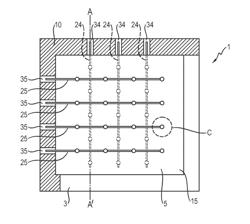 OLED device with a brightness distribution controlling means