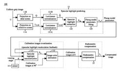 Method of generating view-dependent compensated images