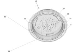 NANOFLUIDIC DELIVERY SYSTEM