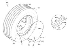 Peristaltic pump air maintenance tire