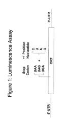 Pyrazole or triazole compounds and their use for the manufacture of a medicament for treating somatic mutation related diseases