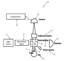 METHOD AND APPARATUS FOR SCATTEROMETRIC MEASUREMENT OF HUMAN TISSUE