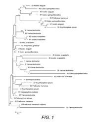 Compositions and Methods for Controlling Arthropod Parasite and Pest Infestations