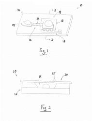 Device And Method For Detecting A Target Analyte