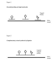 Arrays and methods of use