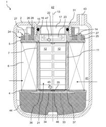 Filter Element and Filter Device