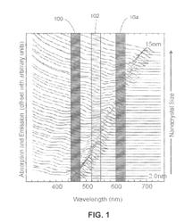 Functionalized Matrices for Dispersion of Nanostructures