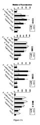 Immunoadjuvant compounds and uses thereof