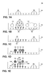 Multivalent opsonophagocytic assay using bead array and imaging