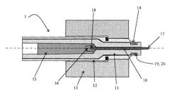 Short-circuit prevention in an RF spark plug