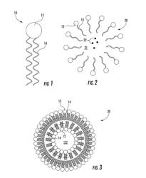 Apparatus, Composition, and Related Methods for Transdermal Delivery of Active Ingredients