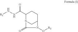 NITROGEN CONTAINING COMPOUNDS