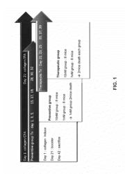 Composition for Preventing or Treating Rheumatoid Arthritis