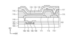 ORGANIC ELECTROLUMINESCENCE DISPLAY DEVICE