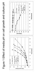 Yeast-based vaccines