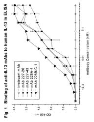 Anti-IL13 antibodies and uses thereof