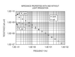 Electrophotographic photosensitive member, process cartridge, and electrophotographic apparatus