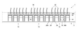 Plantsurface Structure and Modules and Method for Forming the Same