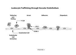 COMPOSITIONS AND METHODS FOR TREATMENT