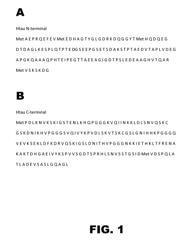 ANTIBODIES TO TAU