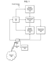 SYSTEM AND METHOD FOR DETECTION OF RNA SPECIES