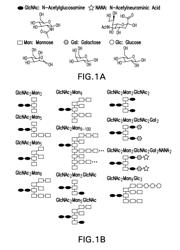 Recombinantly expressed insulin polypeptides and uses thereof