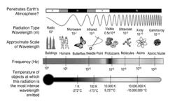 SIGNAL CAPTURE METHOD AND APPARATUS FOR THE DETECTION OF LOW FREQUENCY ELECTRIC SIGNALS IN LIQUIDS AND BIOLOGICAL MATTER