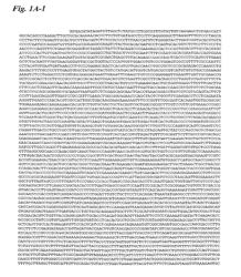 PRRS viruses, infectious clones, mutants thereof, and method of use