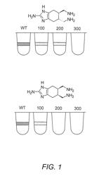 Inhibition of bacterial biofilms with imidazole derivatives