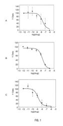 Molecular probe precursor for imaging of pancreatic islet, and use thereof