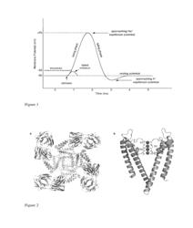 Aconitine compounds, compositions, uses, and preparation thereof