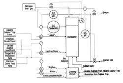 Processes for producing h2s using sulphur-reducing bacteria