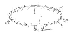 Internally ventilated brake disc