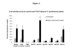 NUCLEIC ACID SEQUENCES ENCODING TRANSCRIPTION FACTORS REGULATING ALKALOID BIOSYNTHESIS AND THEIR USE IN MODIFYING PLANT METABOLISM