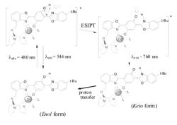 Class of near infrared optical probes for biological applications