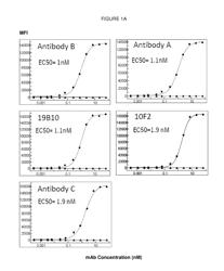 Polynucleotides encoding anti-CD40 antibodies