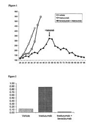 Tumor therapy with an antibody for vascular endothelial growth factor and an antibody for human epithelial growth factor receptor type 2