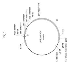 Plants with altered root architecture, related constructs and methods involving genes encoding leucine rich repeat kinase (LLRK) polypeptides and homologs thereof